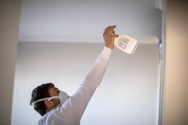 Best Professional Mold Removal  in Cimarron Hills, CO